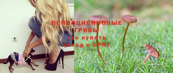 эйфоретик Балахна