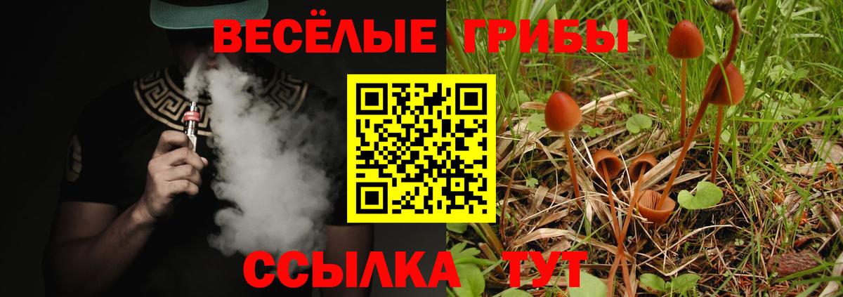 Псилоцибиновые грибы Psilocybine cubensis  Вход с VPN  Галлюциногенные грибы мицелий  Баксан 
